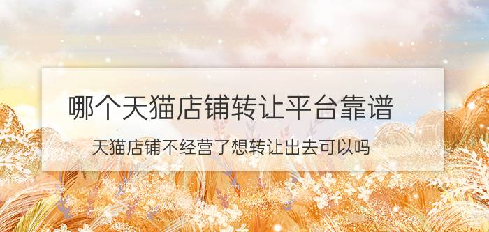 哪个天猫店铺转让平台靠谱 天猫店铺不经营了想转让出去可以吗？